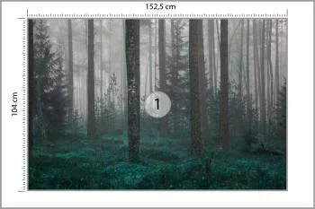 Fototapeta - Tajemniczy Las we Mgle - obrazek 3