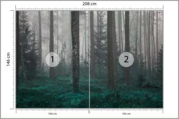 Fototapeta - Tajemniczy Las we Mgle - obrazek 3