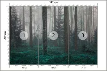 Fototapeta - Tajemniczy Las we Mgle - obrazek 3