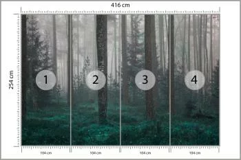 Fototapeta - Tajemniczy Las we Mgle - obrazek 3