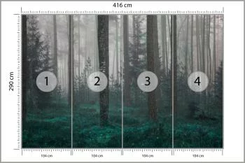Fototapeta - Tajemniczy Las we Mgle - obrazek 3
