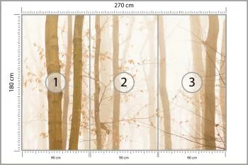 Fototapeta Las We Mgle - obrazek 3