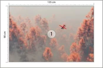 Fototapeta Las We Mgle - obrazek 3