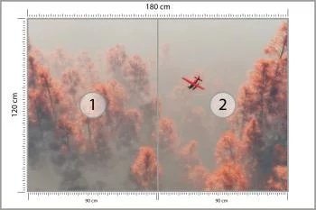 Fototapeta Las We Mgle - obrazek 3