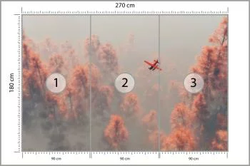 Fototapeta Las We Mgle - obrazek 3