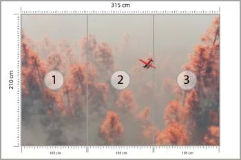 Fototapeta Las We Mgle - obrazek 3