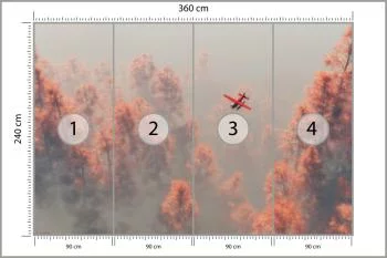 Fototapeta Las We Mgle - obrazek 3