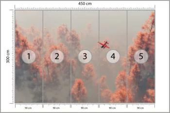 Fototapeta Las We Mgle - obrazek 3