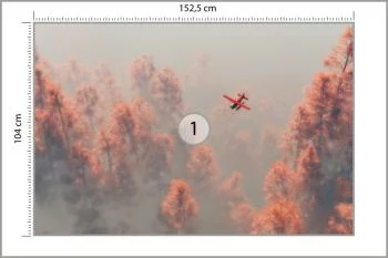 Fototapeta Las We Mgle - obrazek 3