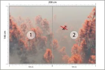 Fototapeta Las We Mgle - obrazek 3