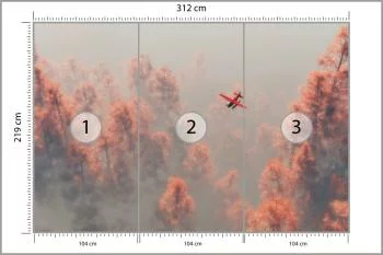 Fototapeta Las We Mgle - obrazek 3