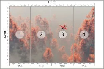 Fototapeta Las We Mgle - obrazek 3