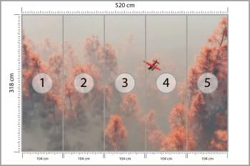 Fototapeta Las We Mgle - obrazek 3