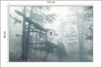 Fototapeta - Mglisty Las w Chłodnym Świetle - obrazek 3