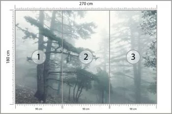Fototapeta - Mglisty Las w Chłodnym Świetle - obrazek 3