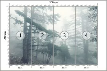 Fototapeta - Mglisty Las w Chłodnym Świetle - obrazek 3