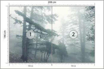 Fototapeta - Mglisty Las w Chłodnym Świetle - obrazek 3