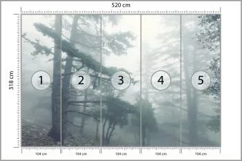 Fototapeta - Mglisty Las w Chłodnym Świetle - obrazek 3