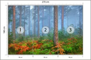 Fototapeta Las We Mgle - obrazek 3