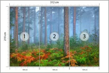 Fototapeta Las We Mgle - obrazek 3