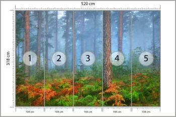 Fototapeta Las We Mgle - obrazek 3