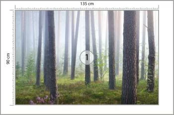 Fototapeta Las We Mgle - obrazek 3