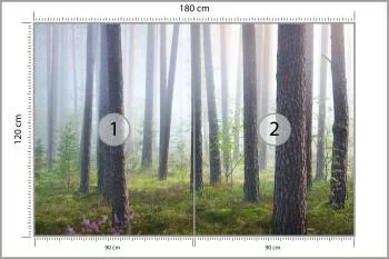 Fototapeta Las We Mgle - obrazek 3
