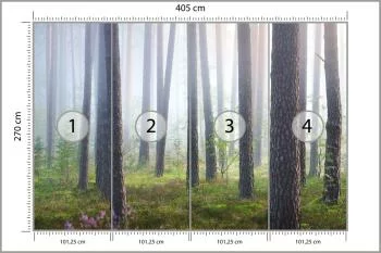 Fototapeta Las We Mgle - obrazek 3