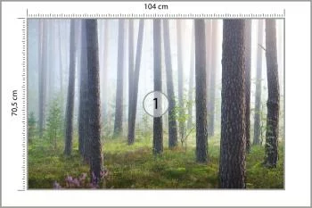 Fototapeta Las We Mgle - obrazek 3