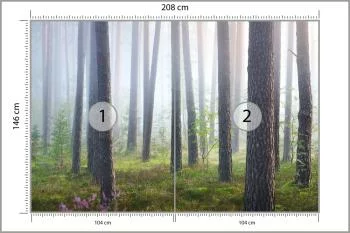 Fototapeta Las We Mgle - obrazek 3