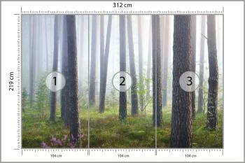 Fototapeta Las We Mgle - obrazek 3