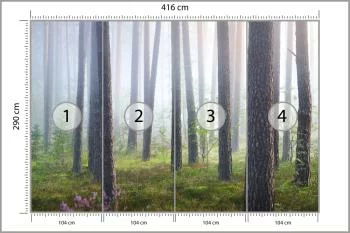 Fototapeta Las We Mgle - obrazek 3