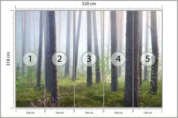 Fototapeta Las We Mgle - obrazek 3