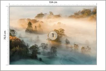 Fototapeta - Złota Mgła nad Polami i Drzewami - obrazek 3