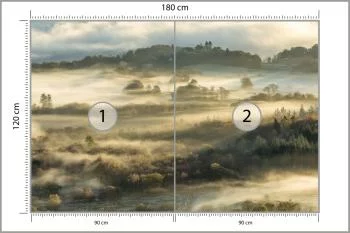 Fototapeta Las We Mgle - obrazek 3