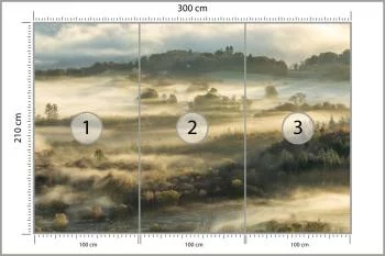 Fototapeta Las We Mgle - obrazek 3