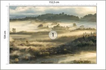 Fototapeta Las We Mgle - obrazek 3