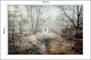 Fototapeta Las We Mgle - obrazek 3