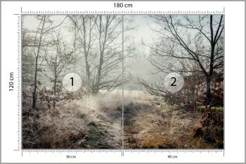 Fototapeta Las We Mgle - obrazek 3