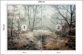 Fototapeta Las We Mgle - obrazek 3