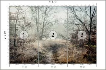Fototapeta Las We Mgle - obrazek 3