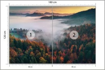Fototapeta - Mglisty Poranek nad Jesiennym Lasem - obrazek 3
