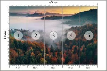Fototapeta - Mglisty Poranek nad Jesiennym Lasem - obrazek 3