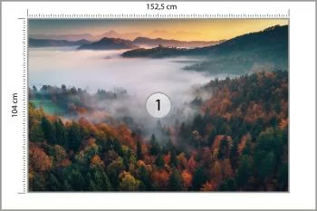 Fototapeta - Mglisty Poranek nad Jesiennym Lasem - obrazek 3