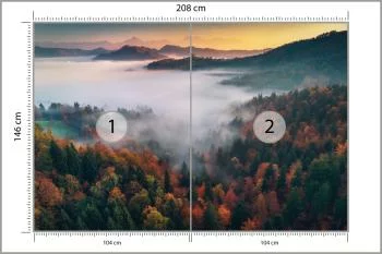 Fototapeta - Mglisty Poranek nad Jesiennym Lasem - obrazek 3