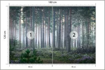 Fototapeta - Spokojny Las o Poranku - obrazek 3