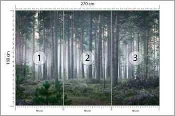 Fototapeta - Spokojny Las o Poranku - obrazek 3