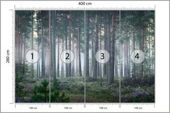 Fototapeta - Spokojny Las o Poranku - obrazek 3