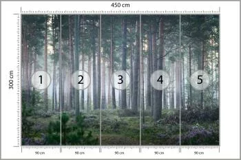 Fototapeta - Spokojny Las o Poranku - obrazek 3