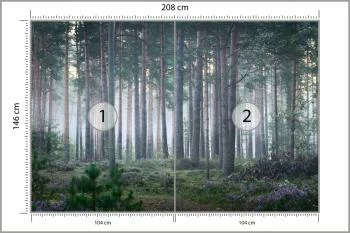 Fototapeta - Spokojny Las o Poranku - obrazek 3